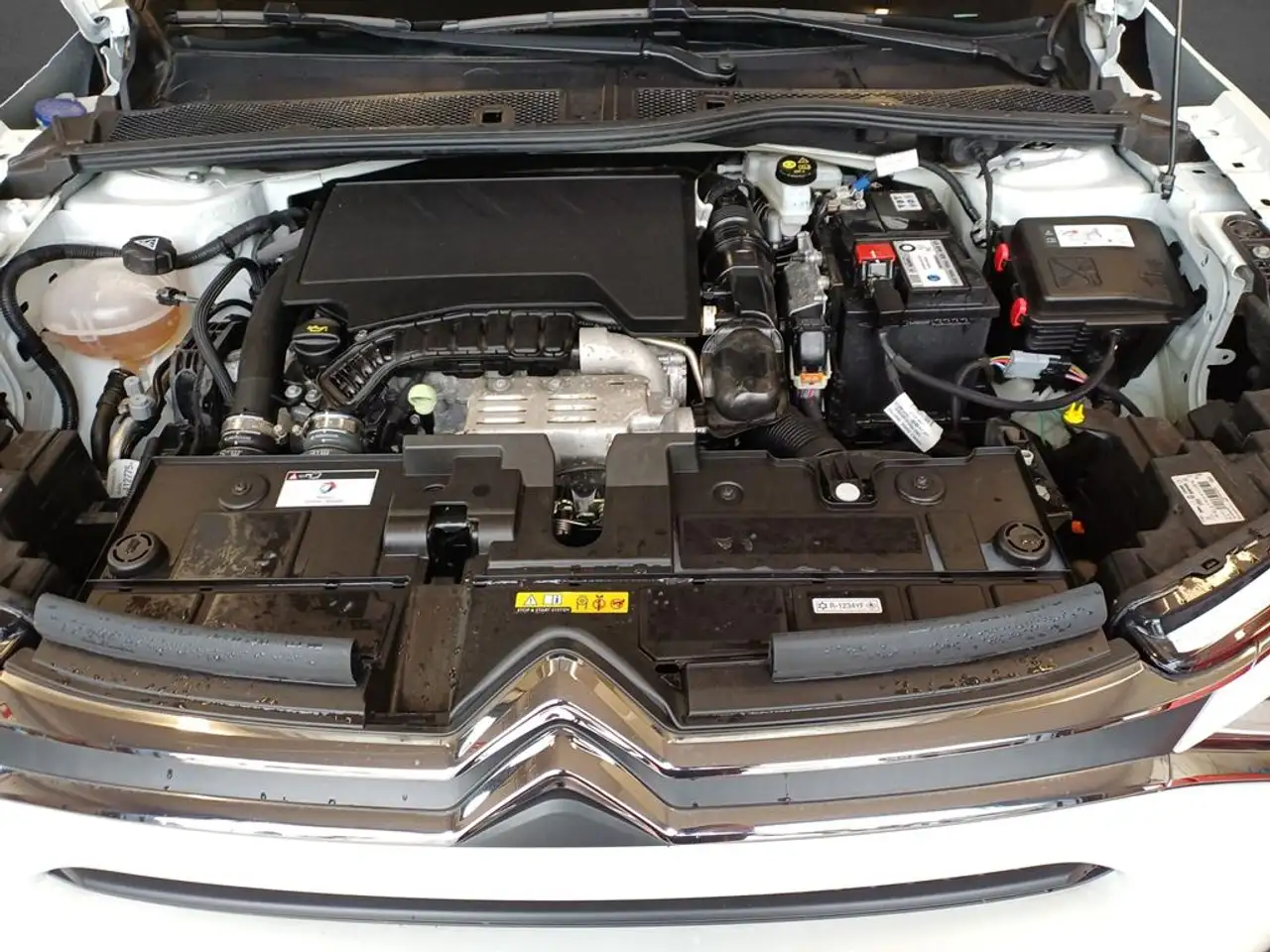 Citroen C4 PureTech 130 S&S EAT8 Shine — معرض صور السيارة 5